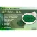 สาหร่ายสไปรูลิน่าออแกนิค Organic Spirulina, USDA Certified 500 mg 60 Tablets California Gold Nutrition®