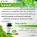 Centella asiatica extracted capsule Extracting from Centella asiatica Anshee Herbal Day 60, Genuine Capsules