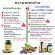 Khaolaor Krachai Black Plus L-Archinine Capsule Nourish the body of the man Reduce white fatigue, 60 capsules