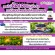 Herbal One Ocberry Eye Pack