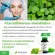 Centella asiatica extracted capsule Extracting from Centella asiatica Anshee Herbal Day 60, Genuine Capsules