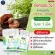 LC Lung Cleanser แอล ซี วิตามินบำรุงสุขภาพ เสริมสร้างภูมิคุ้มกัน 2 แถม 1  วิตามิน ดีท้อกปอด ภูมิแพ้ ไอ คัดจมูก