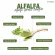 Narah Narah Alfalfa Juice Powder Pro 5+2 Powers, Alfa, Fresh, Fresh, Powder with Chlorophyll, helps detoxify the skin, clear skin.