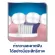 Sensodyne Rapid Action Toothbrush, Soft Bristles, Special Designed for People with Sensitive Teth X1 Sensen, Sensen, Rapid, soft bristles