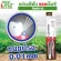 ชุดแปรงสีฟัน แอลเอ็มซี ซิลฟราส  1 กล่อง 12 ชิ้น  แถมยาสีฟันสมุนไพรแอคทีฟ ฟาส 8 กรัม