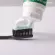 Giffarine toothpaste, Dente toothpaste, Bio Herbelle Dente Whitening, Dente Whitening, white teeth, clean teeth, fluoride, prevent tooth decay, reduce bad breath.