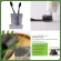 ยาสีฟัน กิฟฟารีน แบมบู ชาร์โคล Bamboo Charcoal Toothpaste ผงถ่านไม้ไผ่ เกลือ ฟลูออไรด์ ระงับกลิ่นปาก ขจัดคราบบุหรี่ ชา-กาแฟ ฟันขาว ลดอาการเสียวฟัน