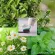 ยาสีฟัน กิฟฟารีน ไบโอ เฮอร์เบิล Bio Herbal Toothpaste ผสมสมุนไพรธรรมชาติ สูตรคลาสสิก ดูแลช่องปาก เหงือกอักเสบ ฟันผุ ระงับกลิ่นปาก