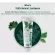 Dentiste '100% Natural Toothpaste Tube 100 g. - Dentist, 100% natural toothpaste, 100 grams of squeezing tubes.