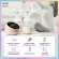 Boboduck Electric Pump Model F5079BREAST PUMPS with a built -in