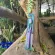 Thai bird toothbrush Premium Soft Original