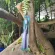 Thai bird toothbrush Premium Soft Original