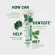 แพ็ค 3 Dentiste 100% Natural Toothpaste Tube100GM ยาสีฟัน สูตรธรรมชาติ 100% ปราศจากเคมี อ่อนโยน แบบหลอด เดนทิสเต้