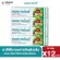 KOLBADENT ยาสีฟันสมุนไพรสกัดบริสุทธิ์ คอลบาเด้นท์ ขนาด 35 กรัม แพค 12 กล่อง