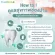 Fresh herbal toothpaste Mixed fluoride that has been certified by America, cool and refreshing. Reduce teeth Take care of both the health of the gums and teeth.
