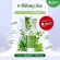 1แถม1 D.dent ดี.เดนท์ Herbal Toothpaste เฮอร์เบิล ทูธเพสท์ 100กรัม