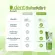 1แถม1 D.dent ดี.เดนท์ Herbal Toothpaste เฮอร์เบิล ทูธเพสท์ 100กรัม