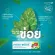 KOLBADENT ยาสีฟันสมุนไพรสกัดบริสุทธิ์ คอลบาเด้นท์ 160 กรัม แพค 6 กล่อง