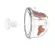 Imani cones inserted in size For reducing the size of 2 pieces of breast pump