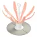 Beaba that overturned the Flower Foldable Drying Rack - Nude