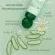 Aloe Vera Extract and Snow Giffarine