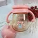 PPSU Famed Little Bear Bottle Bottle Bottle Bottle Baby Baby Baby Baby 8 ounces with arms and cork