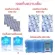 2 -story temperature storage bag, Sunny Day model, plus 2 sachets