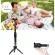 100% authentic Yunteng YT888, a selfie with Bluetooth model YT-888 Original 100% and Free Shipping Yunteng YT-888 Selfie Stick with Bluetooth.