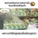 That feeds Kobi Kobi by Ange+of