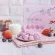 Wel-B Yogurt Melts Mixed Berry 42g. Rasit Berry 42G- Children Free healthy desserts, no oil, not heat.
