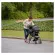 Graco Literider LX Click Connect Stroller – Tenley Tenley  รถเข็น