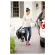 Graco Literider LX Click Connect Stroller – Tenley Tenley  รถเข็น