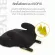 Daiichi บูสเตอร์สำหรับเด็กโต รุ่น INNOFIX BOOSTER ISOFIX BLIVA ใช้ได้ตั้งแต่ 3-12 ปี สี Black ISOFIX