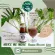 1 crate 24 bottles, banana blossom water mixed with ginger and lemon, stevia formula. Make me more nourishing breast milk adds milk.