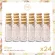 Mimi Class, Ginger juice mixed with coconut sugar x24 bottles