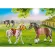 Playmobil 70683 Pony Farm Pony Set โพนีฟาร์ม เซ็ตโพนี่ 3 ตัว