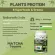 3 กระปุก VERTECH NUTRITION โปรตีนพืช Plant Protein Superfoods & Greens วีแกน ผักผลไม้ ไฟเบอร์  ลดน้ำหนัก