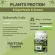 3 vertech nutrition plants Plant Protein Superfoods & Greens, Vigan, vegetables, fruits, fiber, weight loss