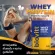 แพ็ค 2 ชิ้น biovitt Whey Protein เวย์โปรตีน รสจืด นำเข้าจากอเมริกา สำหรับผู้ชาย ย่อยง่าย ท้องไม่อืด ทานง่ายเห็นผลไว