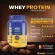 Free IME GOLD Whey Protein Biovitt Biovit, adding muscle, reduced chocolate, suitable for all genders, 35g protein, size 907.2 grams