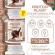 PROTEIN PLANT สูตร 1 โปรตีนพืช รสโกโก้ ช็อกโกแลต  900 กรัม/กระปุก โปรตีนแพลนท์ ออแกรนิค โปรตีนพืชจาก ข้าว ถั่วลันเตา มันฝรั่ง ปลอดกูลเตน ปลอด GMO