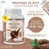 PROTEIN PLANT สูตร 1 โปรตีนพืช รสโกโก้ ช็อกโกแลต  900 กรัม/กระปุก โปรตีนแพลนท์ ออแกรนิค โปรตีนพืชจาก ข้าว ถั่วลันเตา มันฝรั่ง ปลอดกูลเตน ปลอด GMO