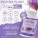 Protein PLANT formula 1, protein, purple, 900 grams/jar, protein, platinic, protein, plants from rice, peas, potatoes.