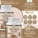 Protein PLANT formula 1 plant protein with 10 flavors 900 grams/protein, Plants, Ornic protein, plants from rice, peas, potatoes.