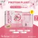 PROTEIN PLANT สูตร 1 โปรตีนแพลนท์ รสลิ้นจี่ ซากุระ โปรตีนจากพืช 3 ชนิด โปรตีนจากข้าว ถั่วลันเตา มันฝรั่ง ปรุงสำเร็จชนิดผง 1 กล่อง 7 ซอง 350 กรัม