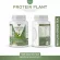 PROTEIN PLANT โปรตีนพืช สูตร 2 รสชาเขียว มัทฉะ โปรตีนจากพืช 5 ชนิด ออเเกรนิค แถมฟรีไข่มุกบุก 23 ซอง  ขนาด 1 กระปุก ปริมาณ 920 กรัม