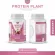 PROTEIN PLANT โปรตีนพืช สูตร 2 รสมิกซ์เบอร์รี่ โปรตีนจากพืช 5 ชนิด ออเเกรนิค แถมฟรีไข่มุกบุก 23 ซอง  ขนาด 1 กระปุก ปริมาณ 920 กรัม