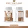 Protein PLANT Plant protein formula 2, swallow, 5 types of plants, Oregine, free pearls, 23 pieces, 1 bottle of 920 grams.