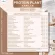 Protein PLANT Plant protein formula 2, swallow, 5 types of plants, Oregine, free pearls, 23 pieces, 1 bottle of 920 grams.