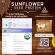 SUNFLOWER SEED PROTEIN เครื่องดื่มผงโปรตีนจากเมล็ดทานตะวัน 100% ปริมาณ 1,000 กรัม/ถุง 1 kg. ตราวิษามิน โปรตีนออแกรนิค คีโต ปลอดกลูเตน ปลอด GMO